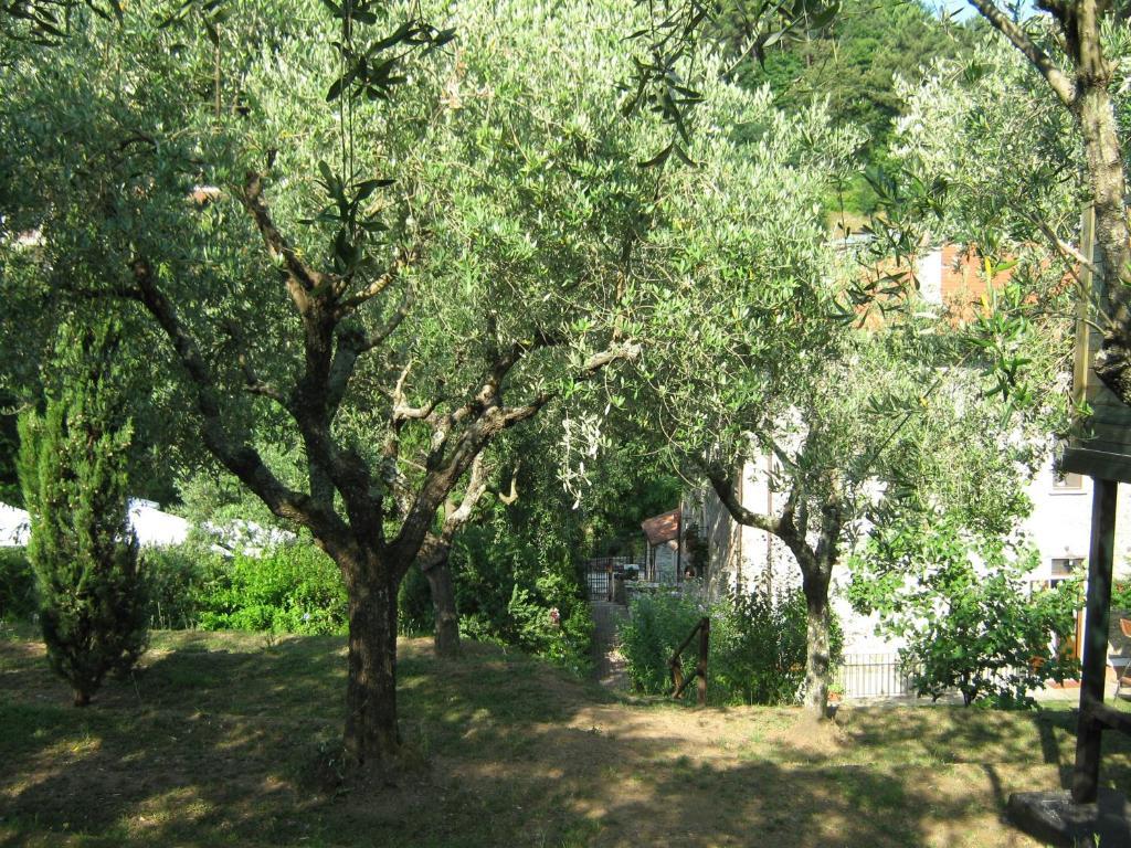 L'Arcadia Guest House Пиетрасанта Екстериор снимка